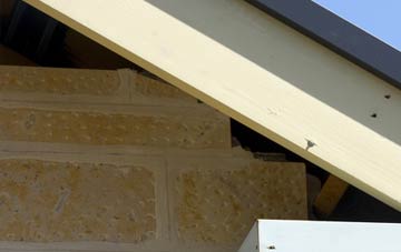 soffit repair Pardown